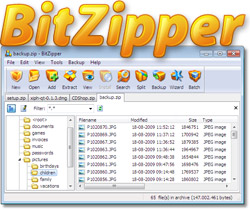 Click this image to see more BitZipper screenshots BitZipper screenshot